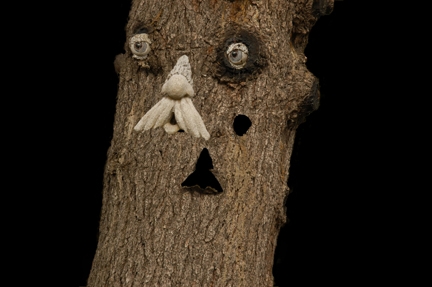 Creation of Mr. Olderwood: Step 4